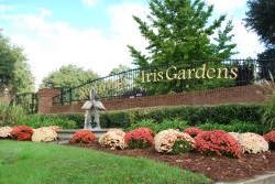 Explore the weekend in Sumter image