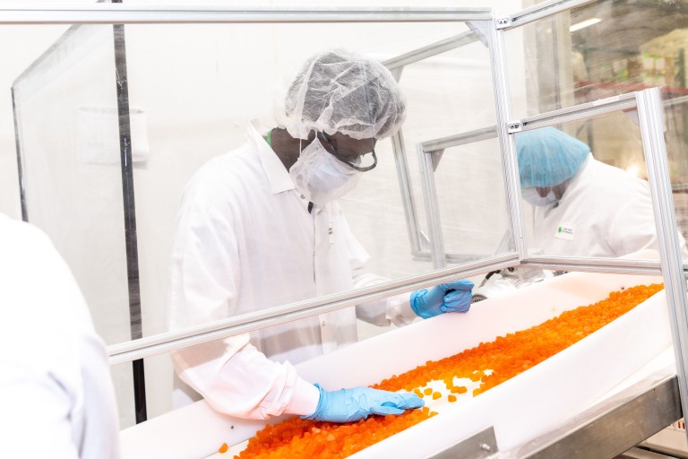 Company’s $84 million investment will create 164 new jobs image